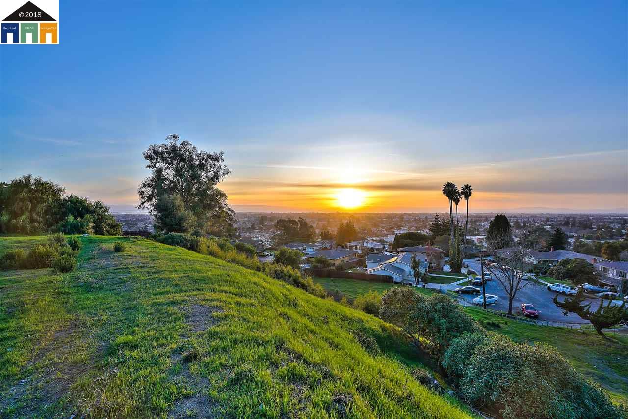 1198 Overlook Ave, HAYWARD, California 94542, ,Lots And Land,For Sale,Overlook Ave,40963643
