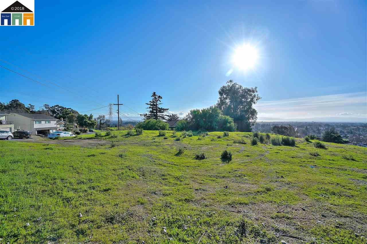 1198 Overlook Ave, HAYWARD, California 94542, ,Lots And Land,For Sale,Overlook Ave,40963643