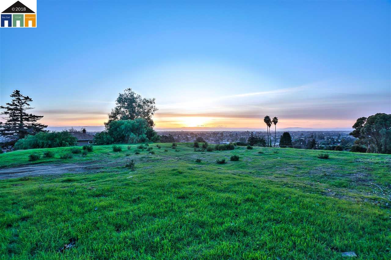 1198 Overlook Ave, HAYWARD, California 94542, ,Lots And Land,For Sale,Overlook Ave,40963643