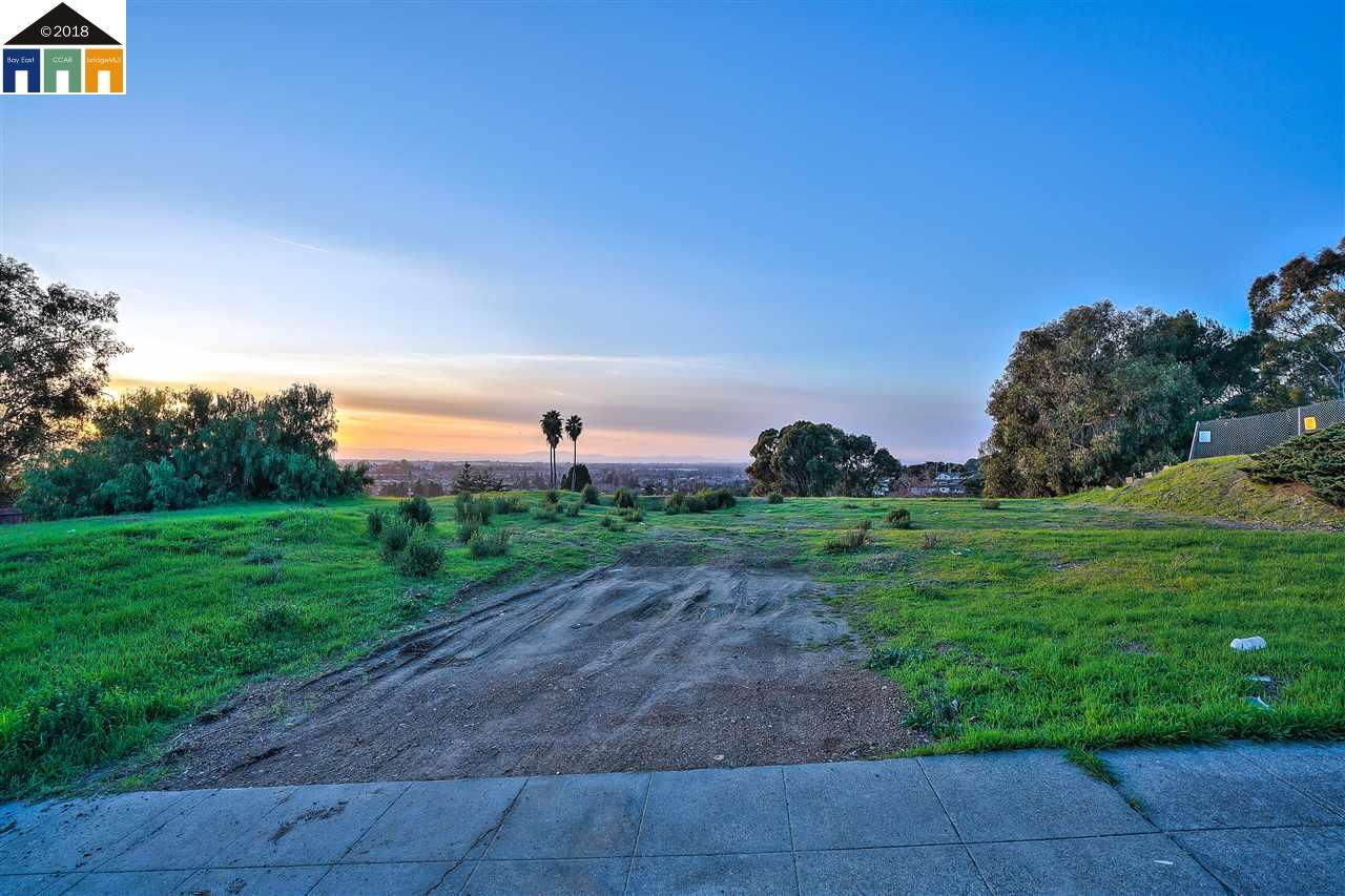 1198 Overlook Ave, HAYWARD, California 94542, ,Lots And Land,For Sale,Overlook Ave,40963643