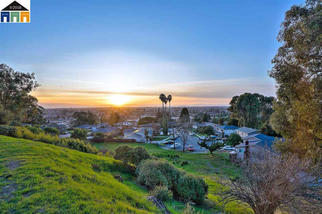 1198 Overlook Ave, HAYWARD, California 94542, ,Lots And Land,For Sale,Overlook Ave,40963643