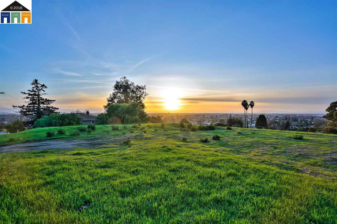 1198 Overlook Ave, HAYWARD, California 94542, ,Lots And Land,For Sale,Overlook Ave,40963643