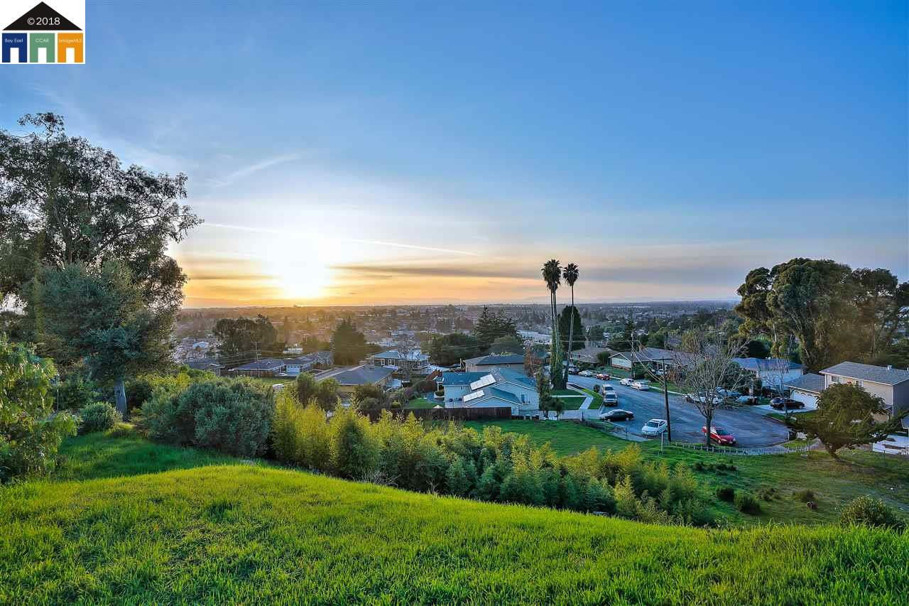 1198 Overlook Ave, HAYWARD, California 94542, ,Lots And Land,For Sale,Overlook Ave,40963643