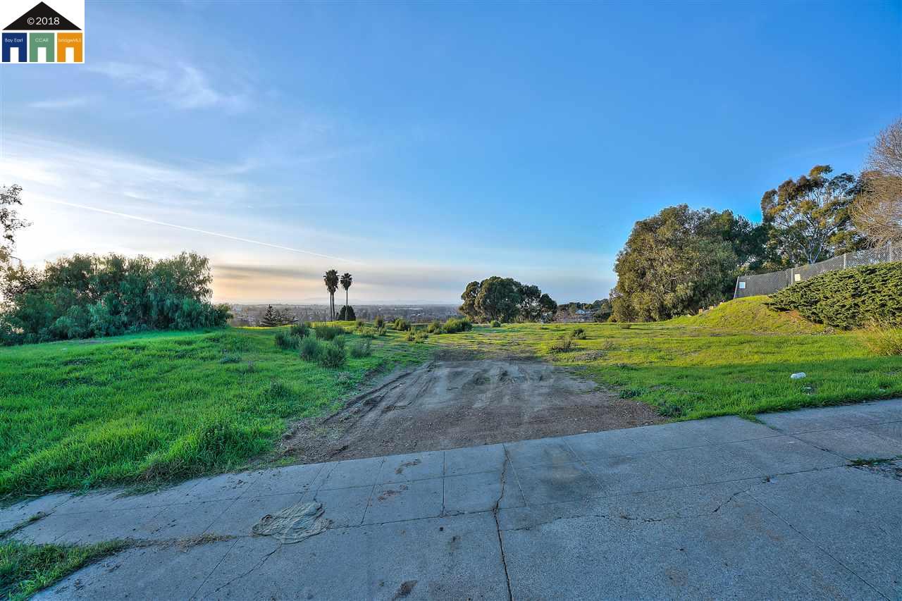 1198 Overlook Ave, HAYWARD, California 94542, ,Lots And Land,For Sale,Overlook Ave,40963643