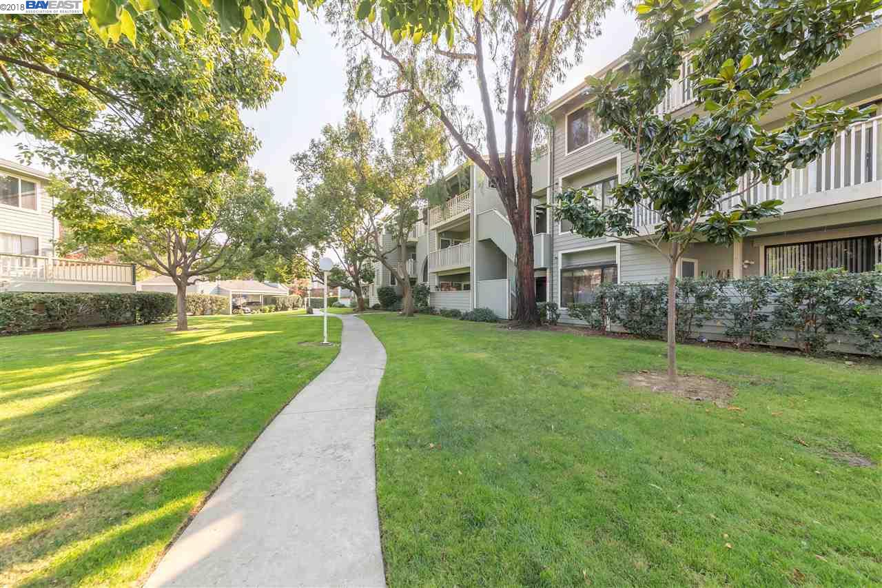 37248 Meadowbrook Cmn 303 Fremont Ca 94536 540 000 Www