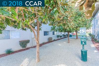 9000 Casals St, SACRAMENTO, California 95826, ,Comm Ri Multi-units 5+,For Sale,Casals St,40815851