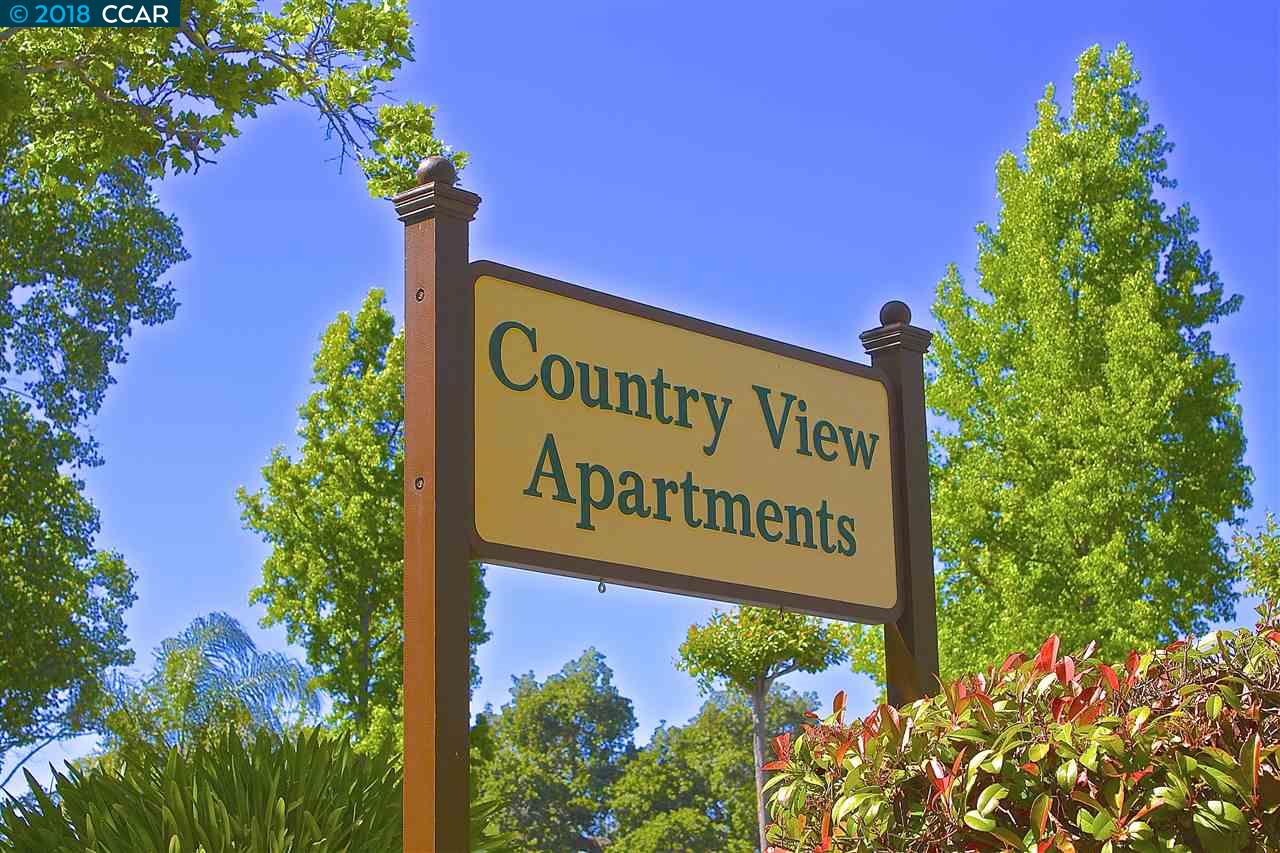309 Country View Lane, PLEASANT HILL, California 94523, ,Comm Ri Multi-units 5+,For Sale,Country View Lane,40821306