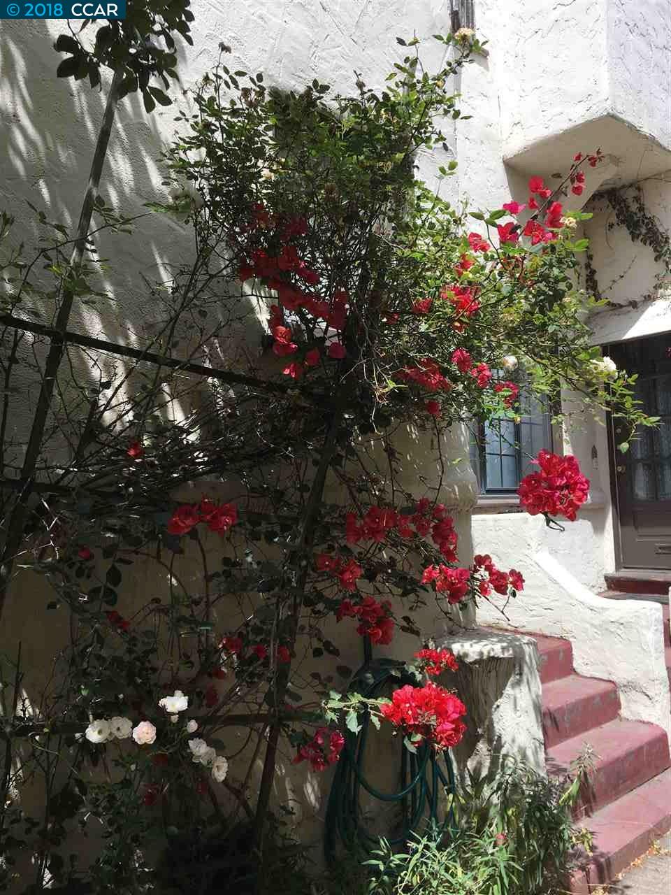 1619 WALNUT STREET, BERKELEY, California 94709, ,Comm Ri Multi-units 5+,For Sale,WALNUT STREET,40830901