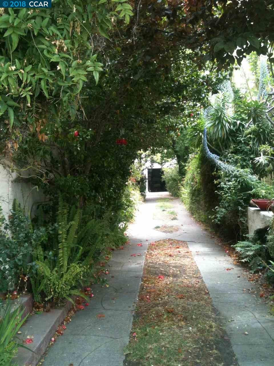 1619 WALNUT STREET, BERKELEY, California 94709, ,Comm Ri Multi-units 5+,For Sale,WALNUT STREET,40830901