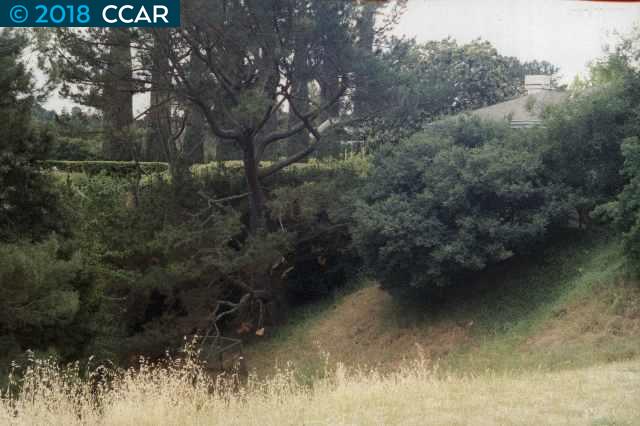 0 PLEASANT HILL ROAD, LAFAYETTE, California 94549, ,Lots And Land,For Sale,PLEASANT HILL ROAD,40769393