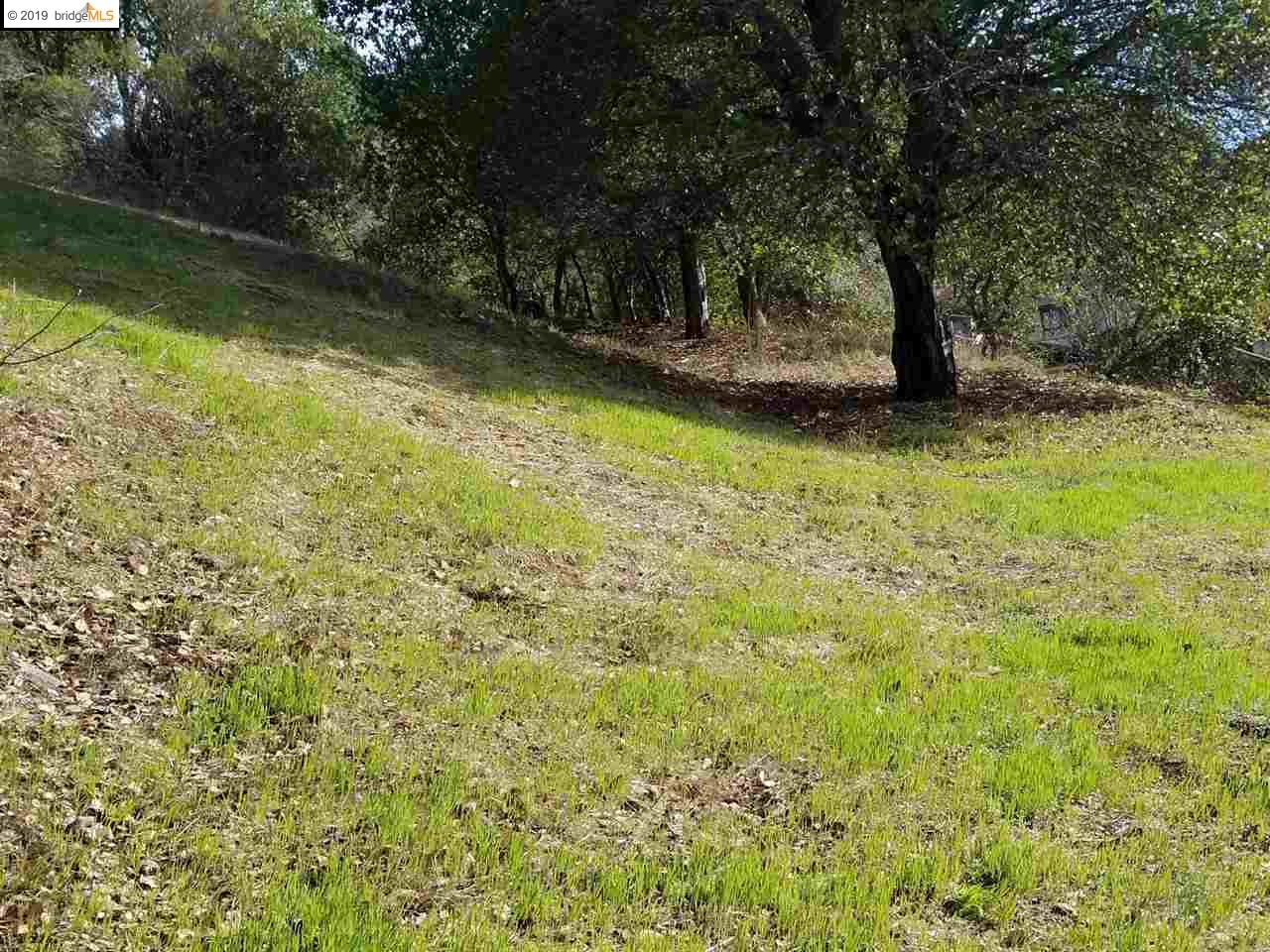 8750 Golf Links Rd, OAKLAND, California 94605, ,Lots And Land,For Sale,Golf Links Rd,40884637