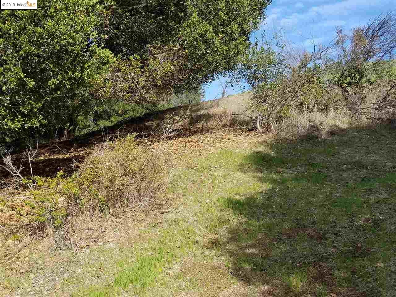 8750 Golf Links Rd, OAKLAND, California 94605, ,Lots And Land,For Sale,Golf Links Rd,40884637