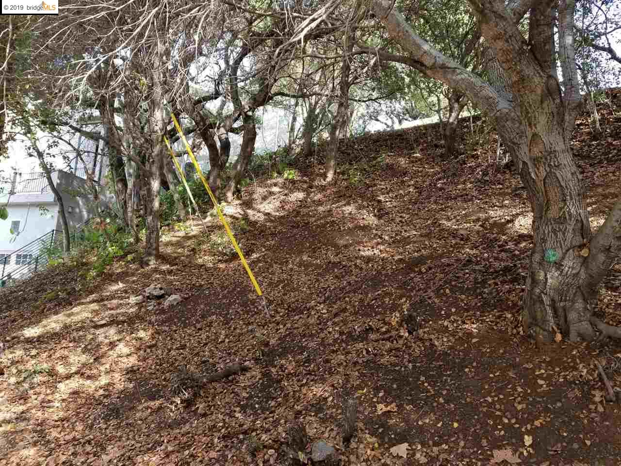 8750 Golf Links Rd, OAKLAND, California 94605, ,Lots And Land,For Sale,Golf Links Rd,40884637