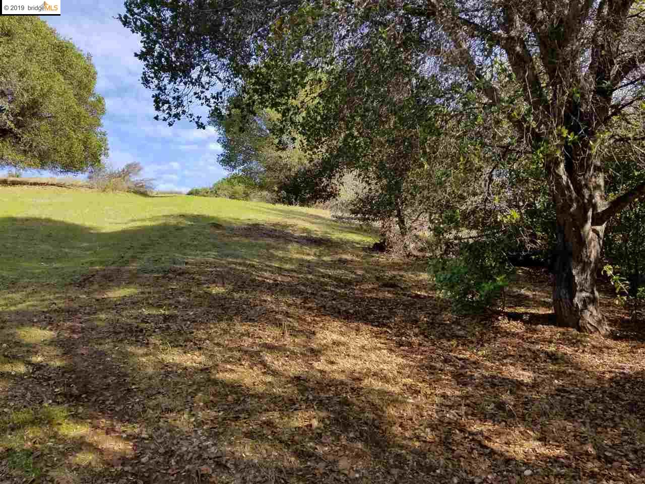 8750 Golf Links Rd, OAKLAND, California 94605, ,Lots And Land,For Sale,Golf Links Rd,40884637