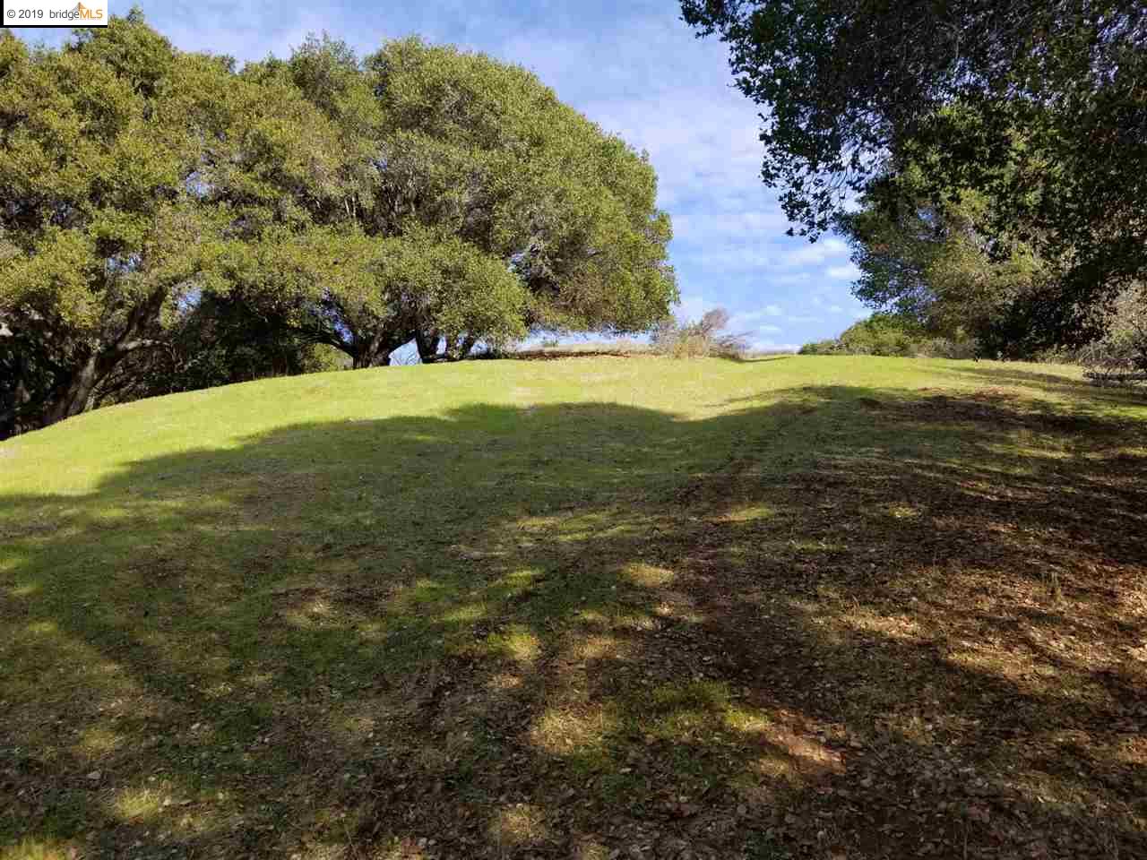 8760 Golf Links Rd, OAKLAND, California 94605, ,Lots And Land,For Sale,Golf Links Rd,40884638