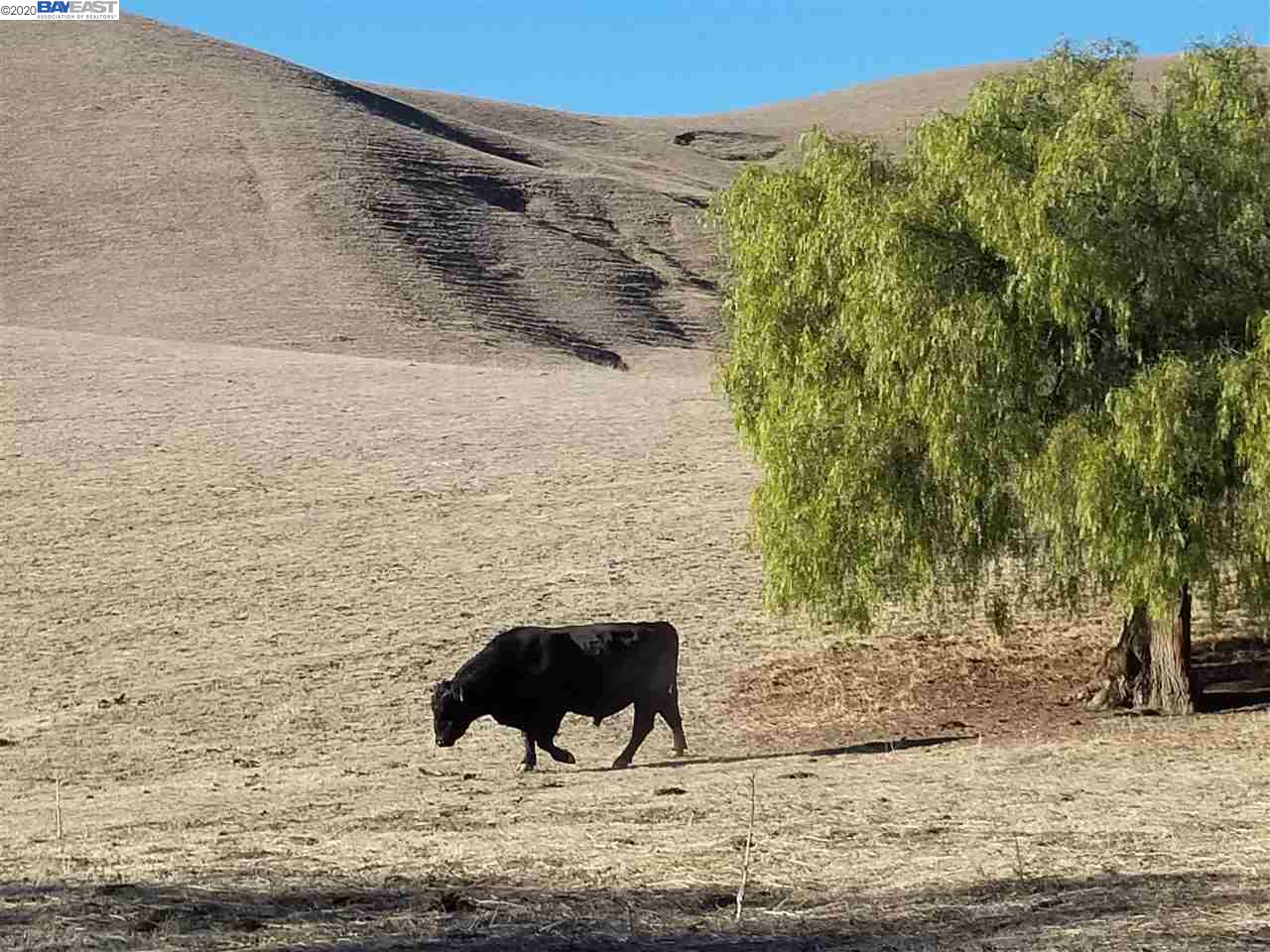 4760 Collier Canyon Road, LIVERMORE, California 94550, ,Lots And Land,For Sale,Collier Canyon Road,40894250