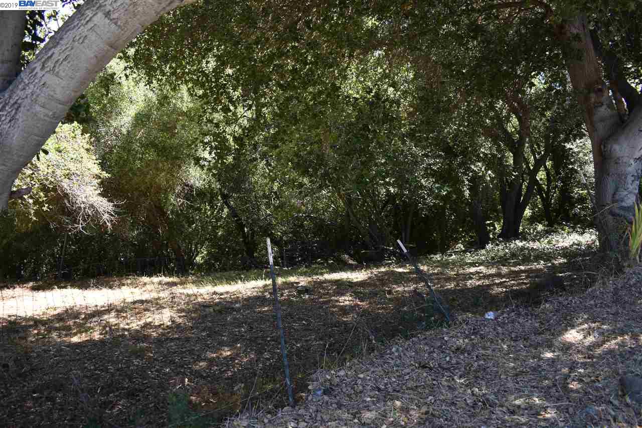 26670 Parkside Dr., HAYWARD, California 94542, ,Lots And Land,For Sale,Parkside Dr.,40894251