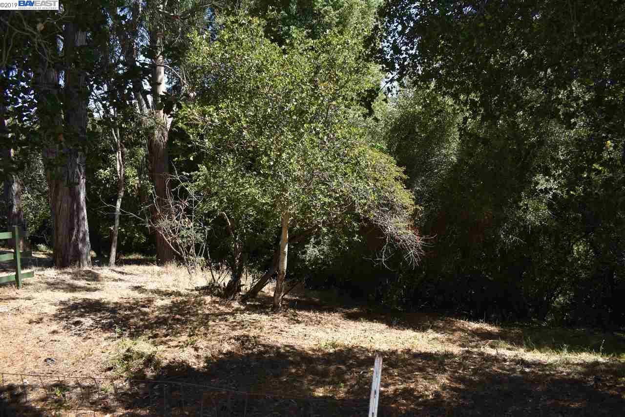 26670 Parkside Dr., HAYWARD, California 94542, ,Lots And Land,For Sale,Parkside Dr.,40894251