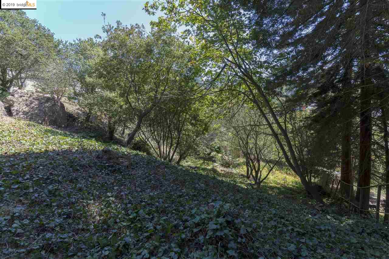 614 Cragmont Ave, BERKELEY, California 94708, ,Lots And Land,For Sale,Cragmont Ave,40897908
