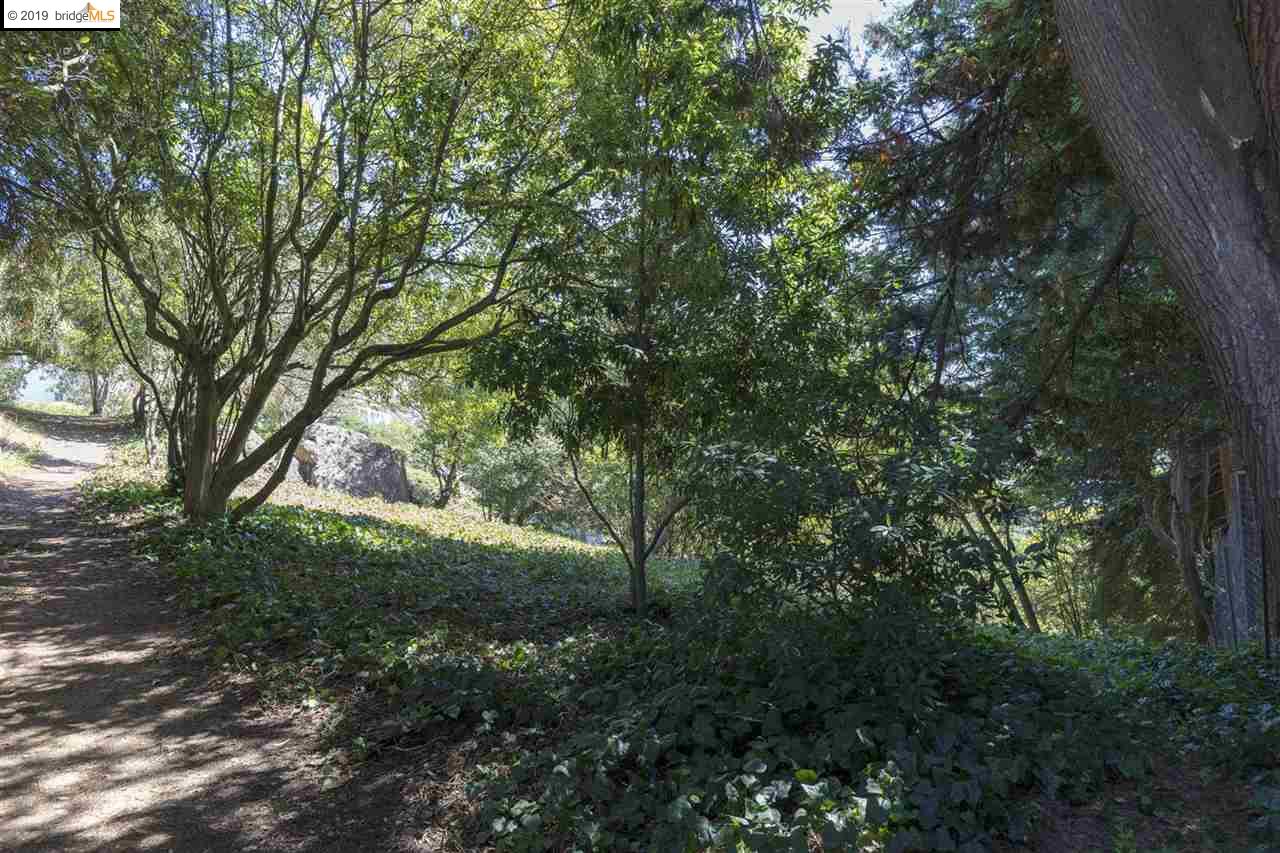 614 Cragmont Ave, BERKELEY, California 94708, ,Lots And Land,For Sale,Cragmont Ave,40897908