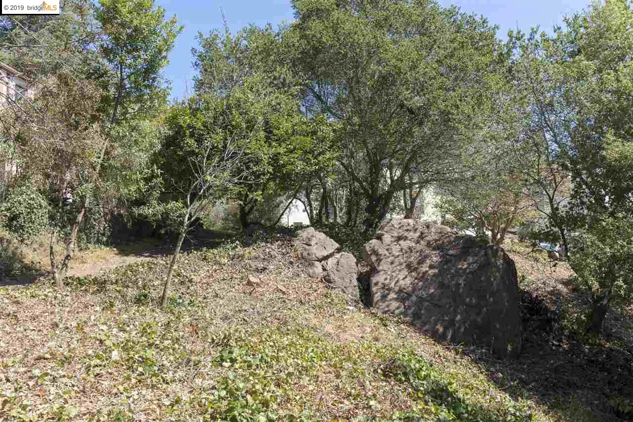 614 Cragmont Ave, BERKELEY, California 94708, ,Lots And Land,For Sale,Cragmont Ave,40897908