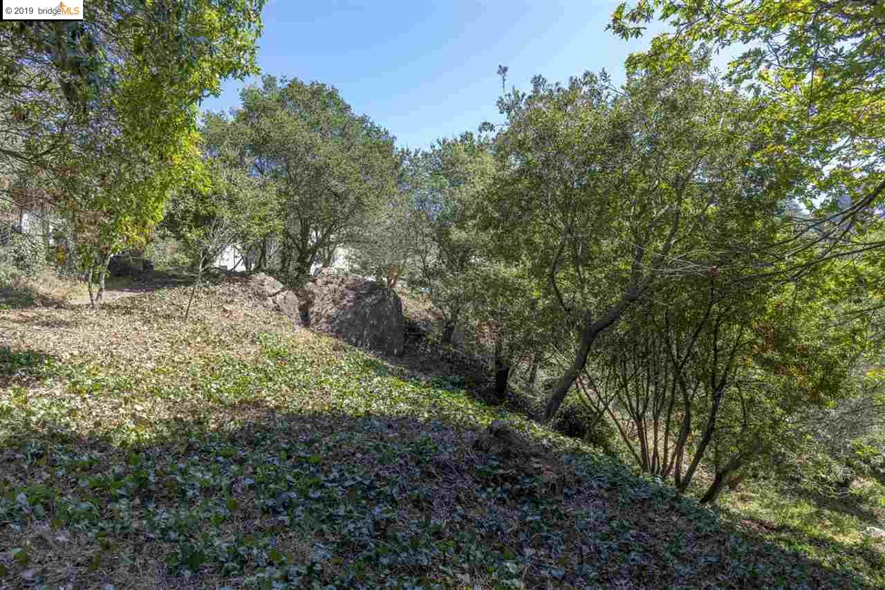 614 Cragmont Ave, BERKELEY, California 94708, ,Lots And Land,For Sale,Cragmont Ave,40897908