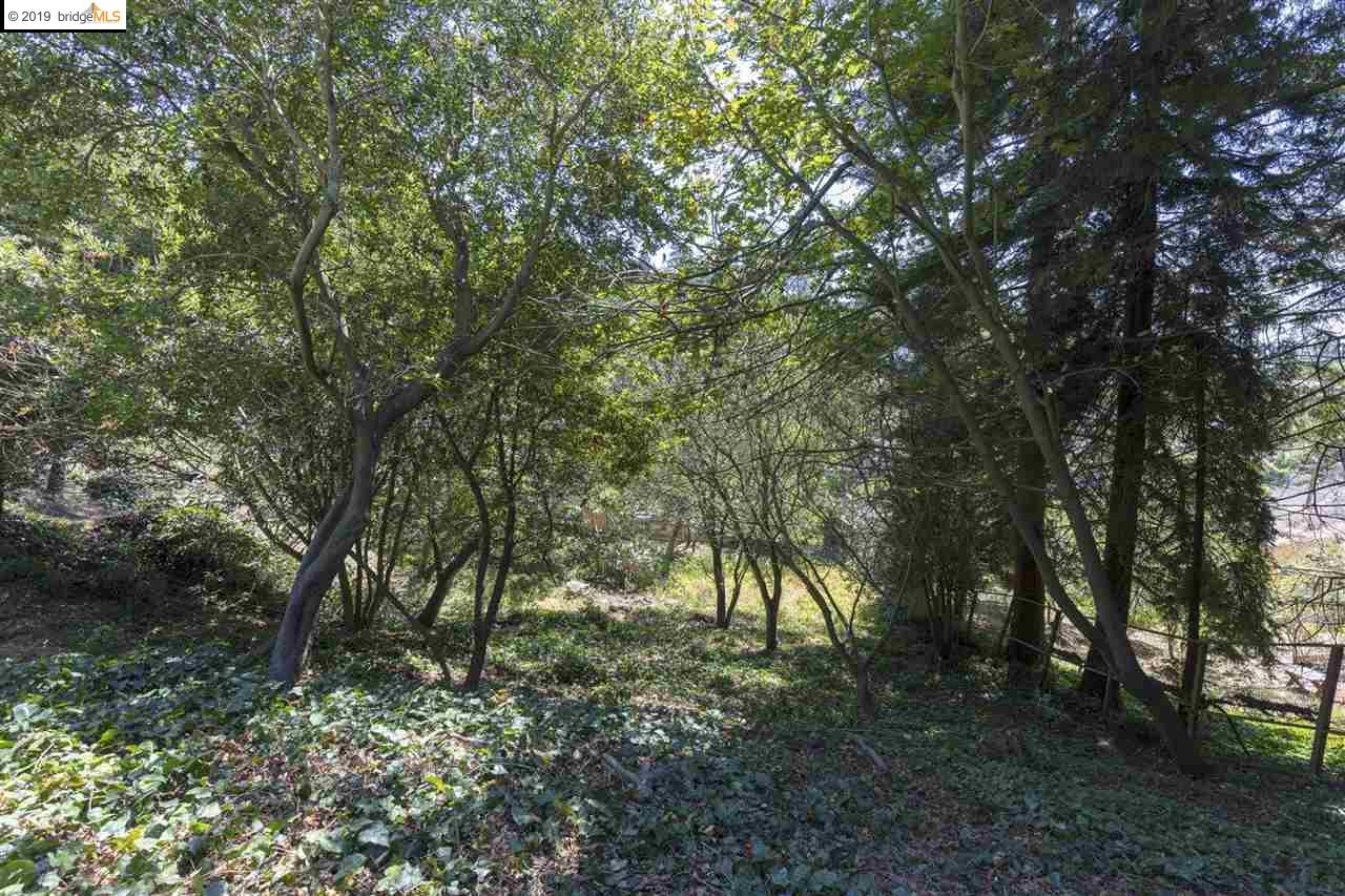 614 Cragmont Ave, BERKELEY, California 94708, ,Lots And Land,For Sale,Cragmont Ave,40897908