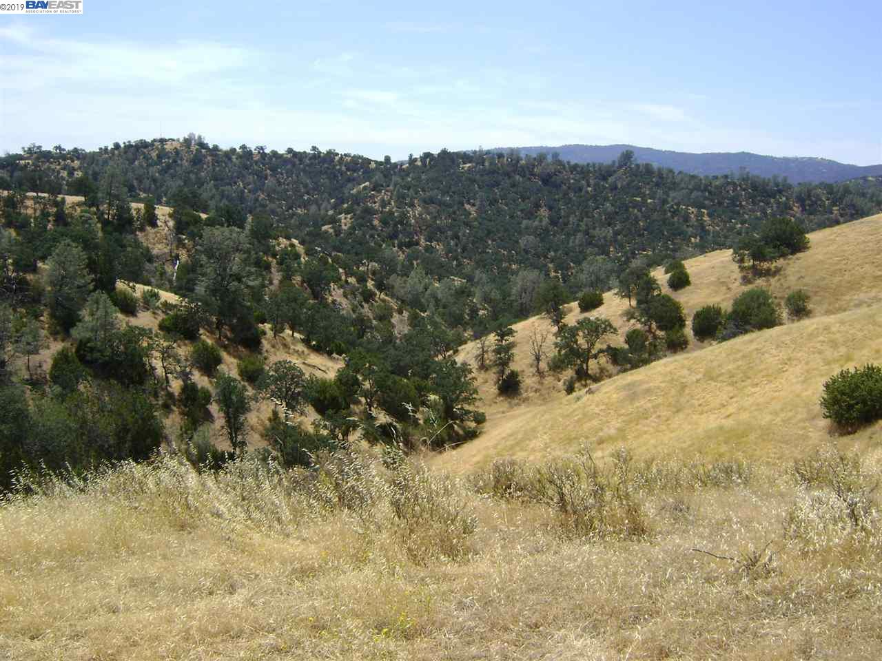 15150 W. CORRAL HOLLOW RD, TRACY, California 95220, ,Lots And Land,For Sale,W. CORRAL HOLLOW RD,40897909