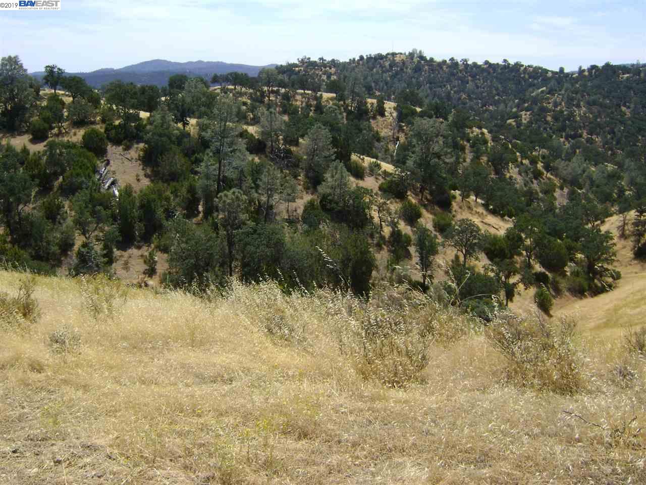 15150 W. CORRAL HOLLOW RD, TRACY, California 95220, ,Lots And Land,For Sale,W. CORRAL HOLLOW RD,40897909