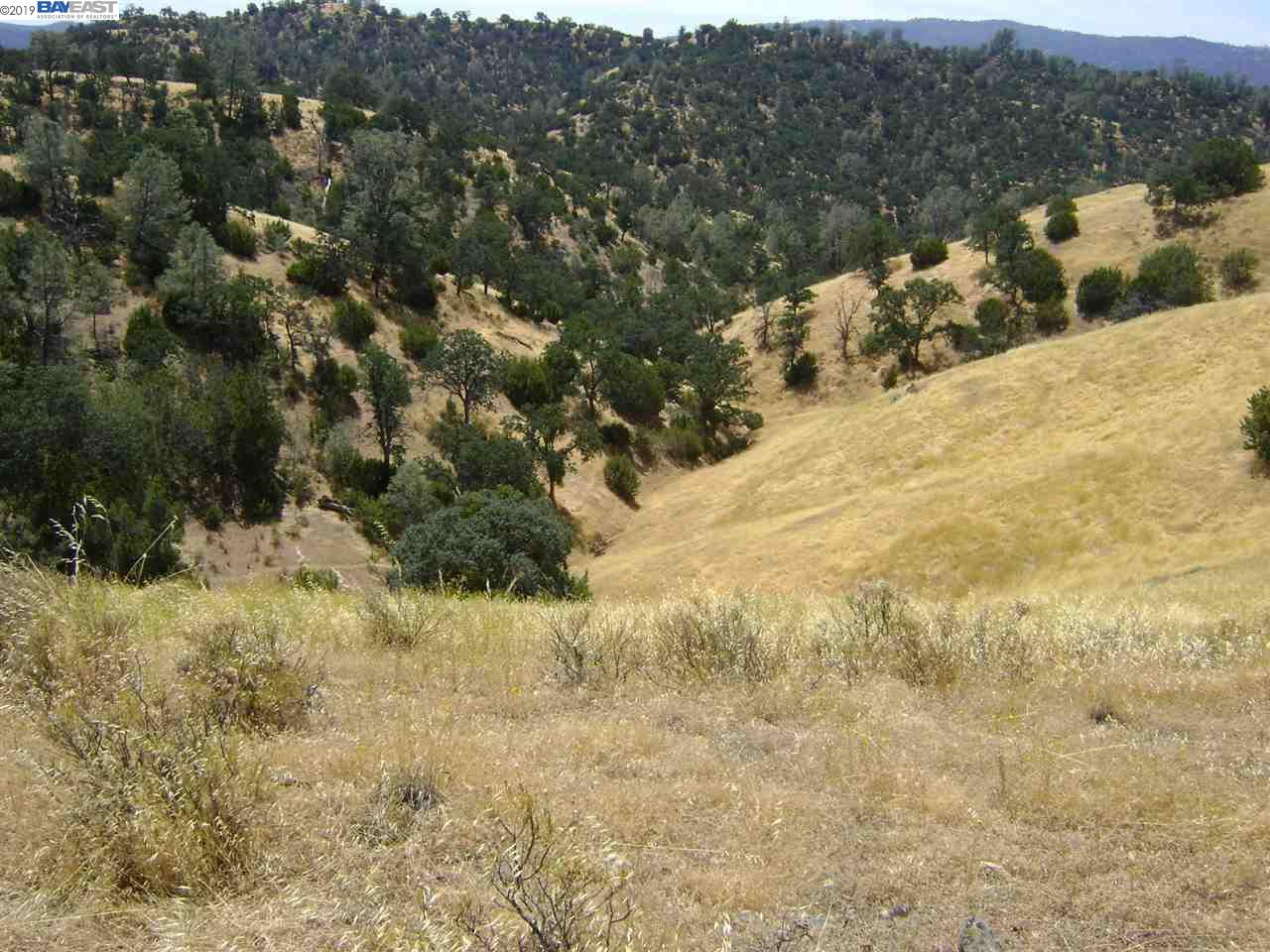 15150 W. CORRAL HOLLOW RD, TRACY, California 95220, ,Lots And Land,For Sale,W. CORRAL HOLLOW RD,40897909