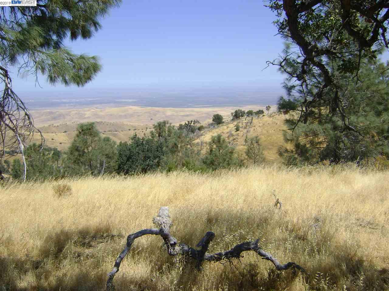 15150 W. CORRAL HOLLOW RD, TRACY, California 95220, ,Lots And Land,For Sale,W. CORRAL HOLLOW RD,40897909