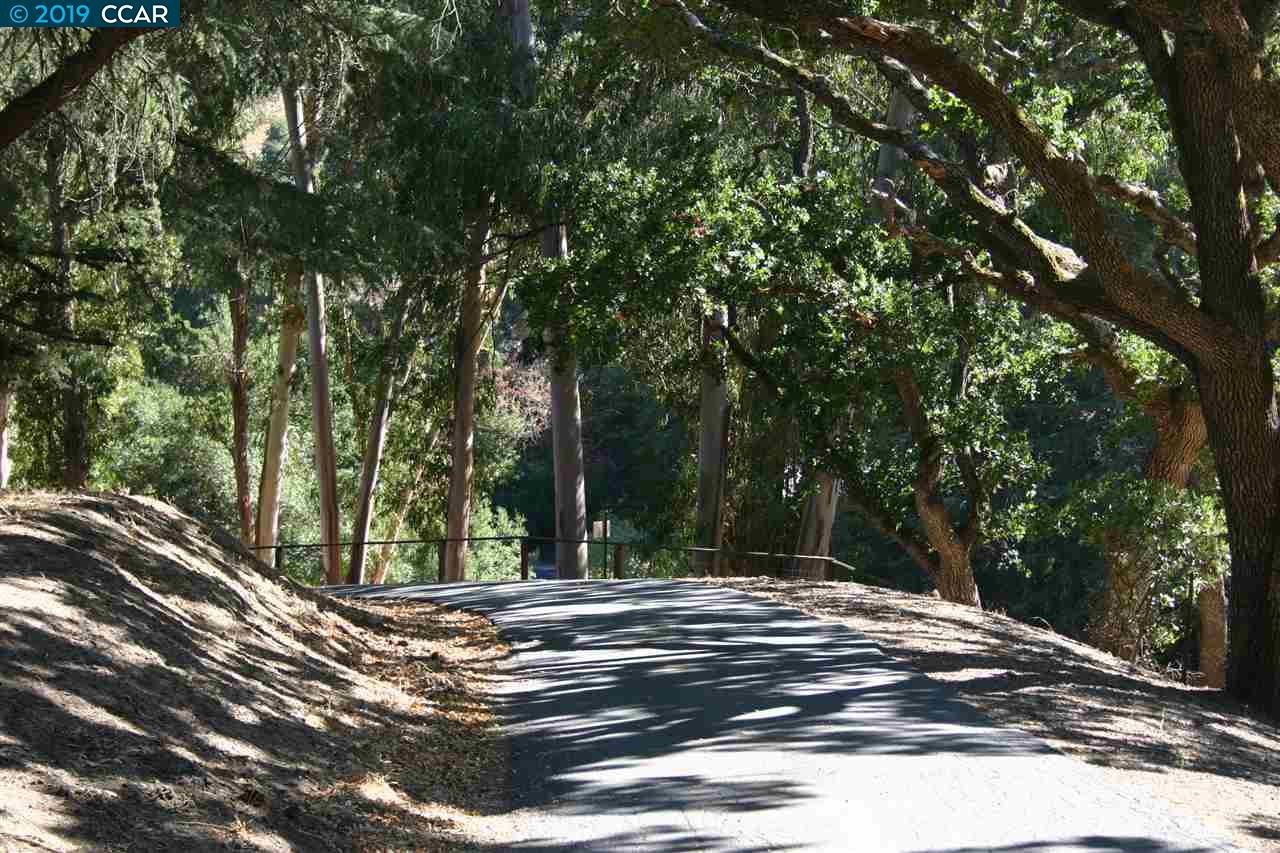 0 Mountain Spring Rd, LAFAYETTE, California 94549, ,Lots And Land,For Sale,Mountain Spring Rd,40963887