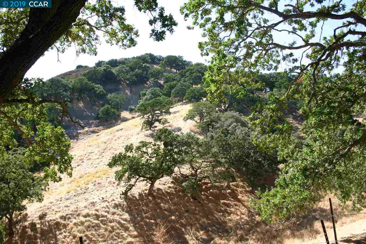 0 Mountain Spring Rd, LAFAYETTE, California 94549, ,Lots And Land,For Sale,Mountain Spring Rd,40963887