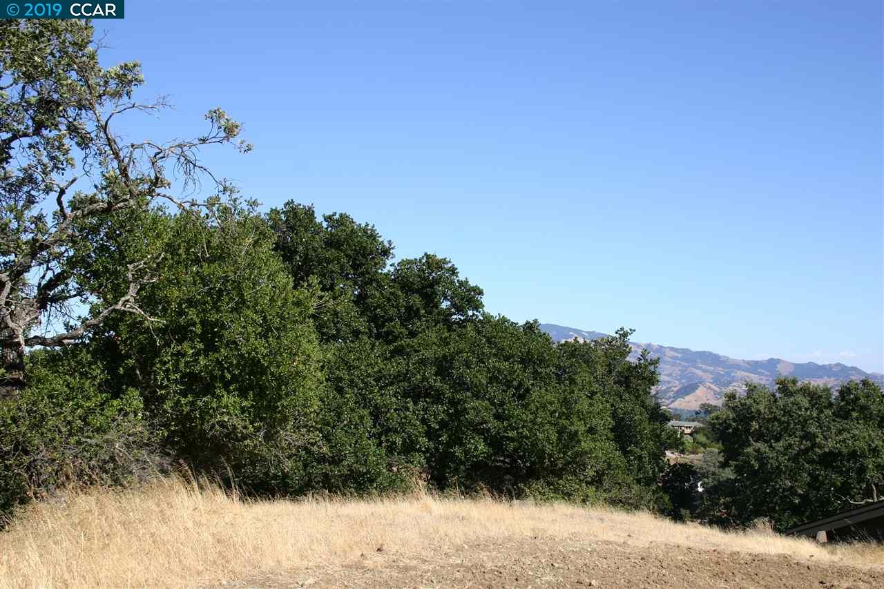 0 Mountain Spring Rd, LAFAYETTE, California 94549, ,Lots And Land,For Sale,Mountain Spring Rd,40963887