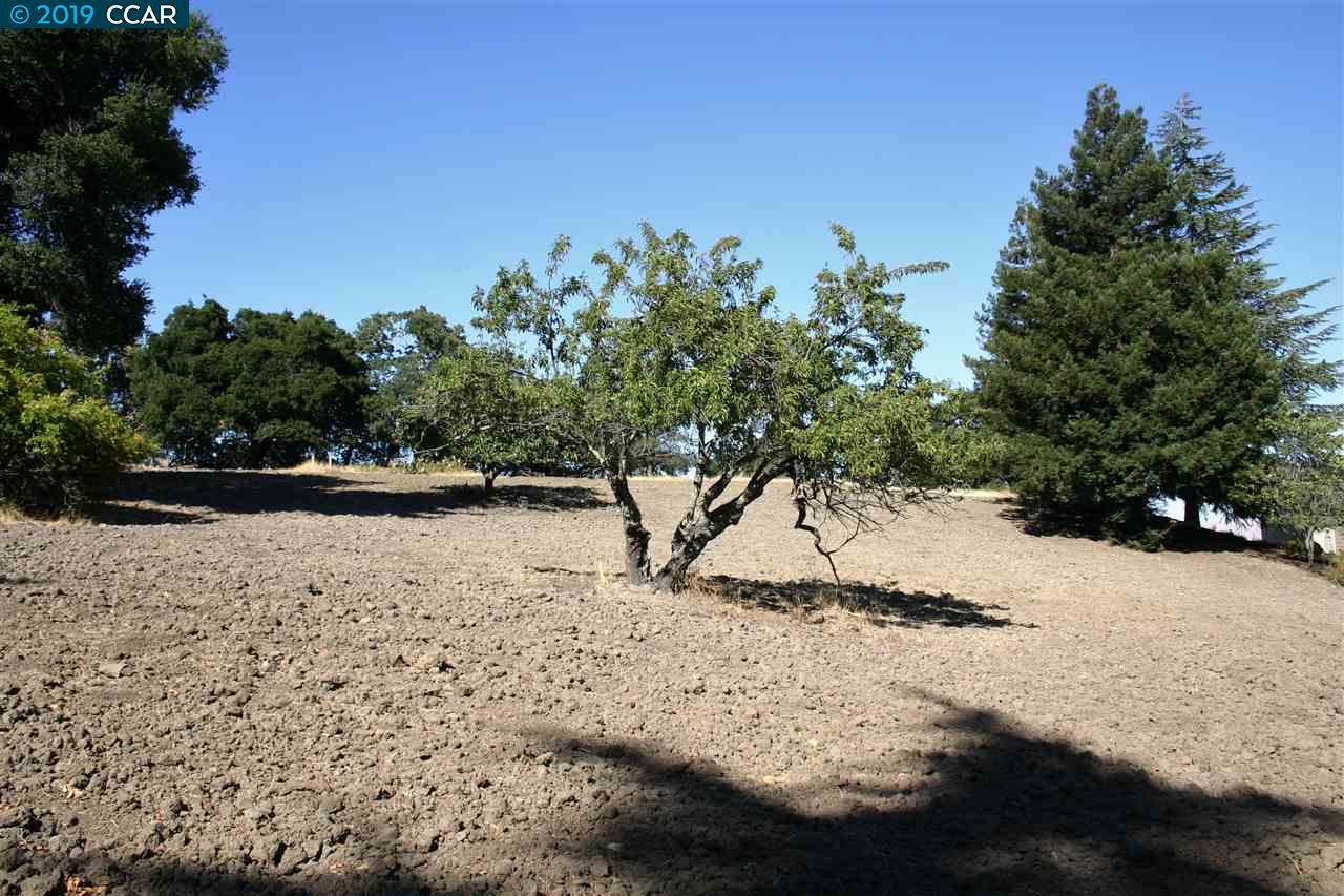 0 Mountain Spring Rd, LAFAYETTE, California 94549, ,Lots And Land,For Sale,Mountain Spring Rd,40963887