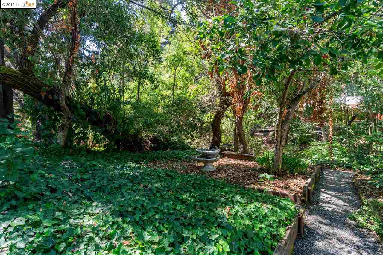 2168 Donald Dr, MORAGA, California 94556, ,Comm Ri Multi-units 5+,For Sale,Donald Dr,40881961