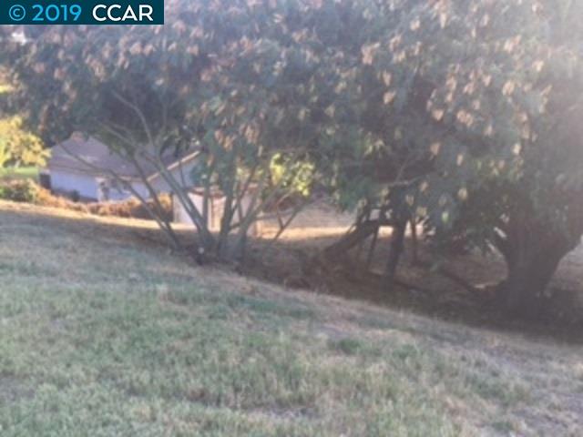 4471 Willow Rd, BETHEL ISLAND, California 94511, ,Lots And Land,For Sale,Willow Rd,40899371