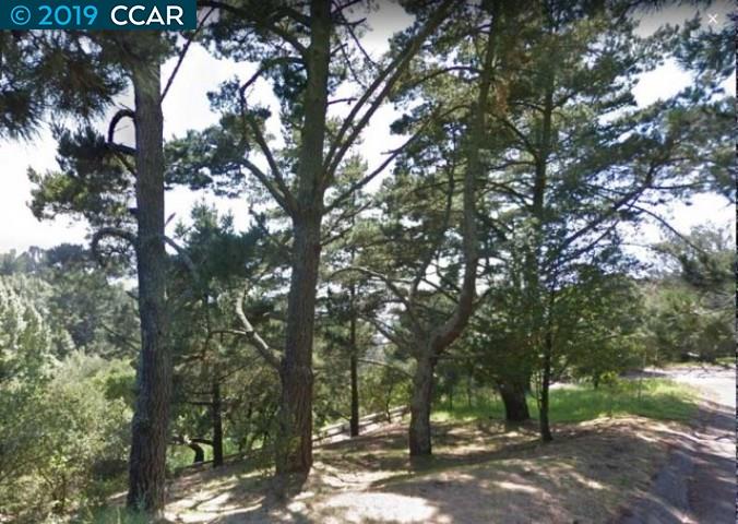 892 Panoramic Way, BERKELEY, California 94704, ,Lots And Land,For Sale,Panoramic Way,40905577