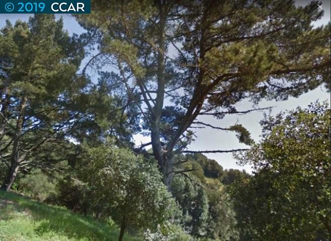 892 Panoramic Way, BERKELEY, California 94704, ,Lots And Land,For Sale,Panoramic Way,40905577