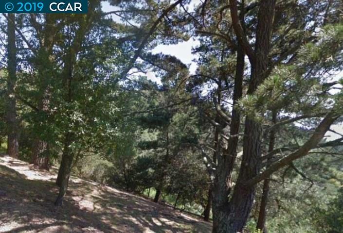 892 Panoramic Way, BERKELEY, California 94704, ,Lots And Land,For Sale,Panoramic Way,40905577