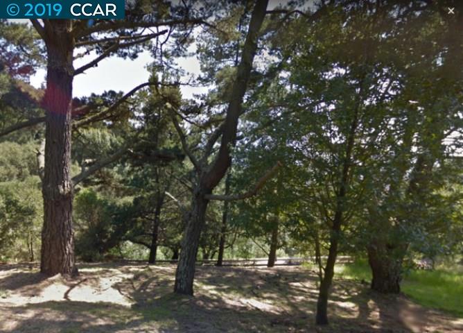 892 Panoramic Way, BERKELEY, California 94704, ,Lots And Land,For Sale,Panoramic Way,40905577