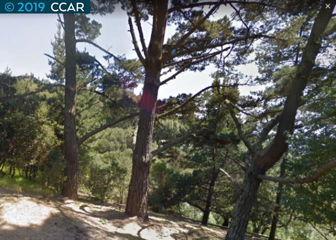 892 Panoramic Way, BERKELEY, California 94704, ,Lots And Land,For Sale,Panoramic Way,40905577