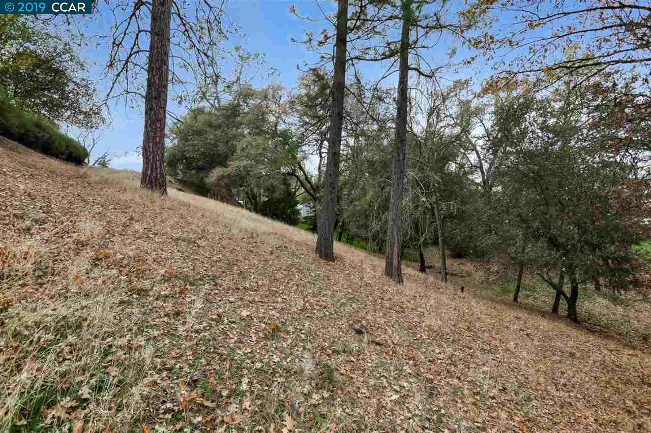 11753 Skylark Court, Auburn Unincorp, California 95602, ,Lots And Land,For Sale,Skylark Court,40905581