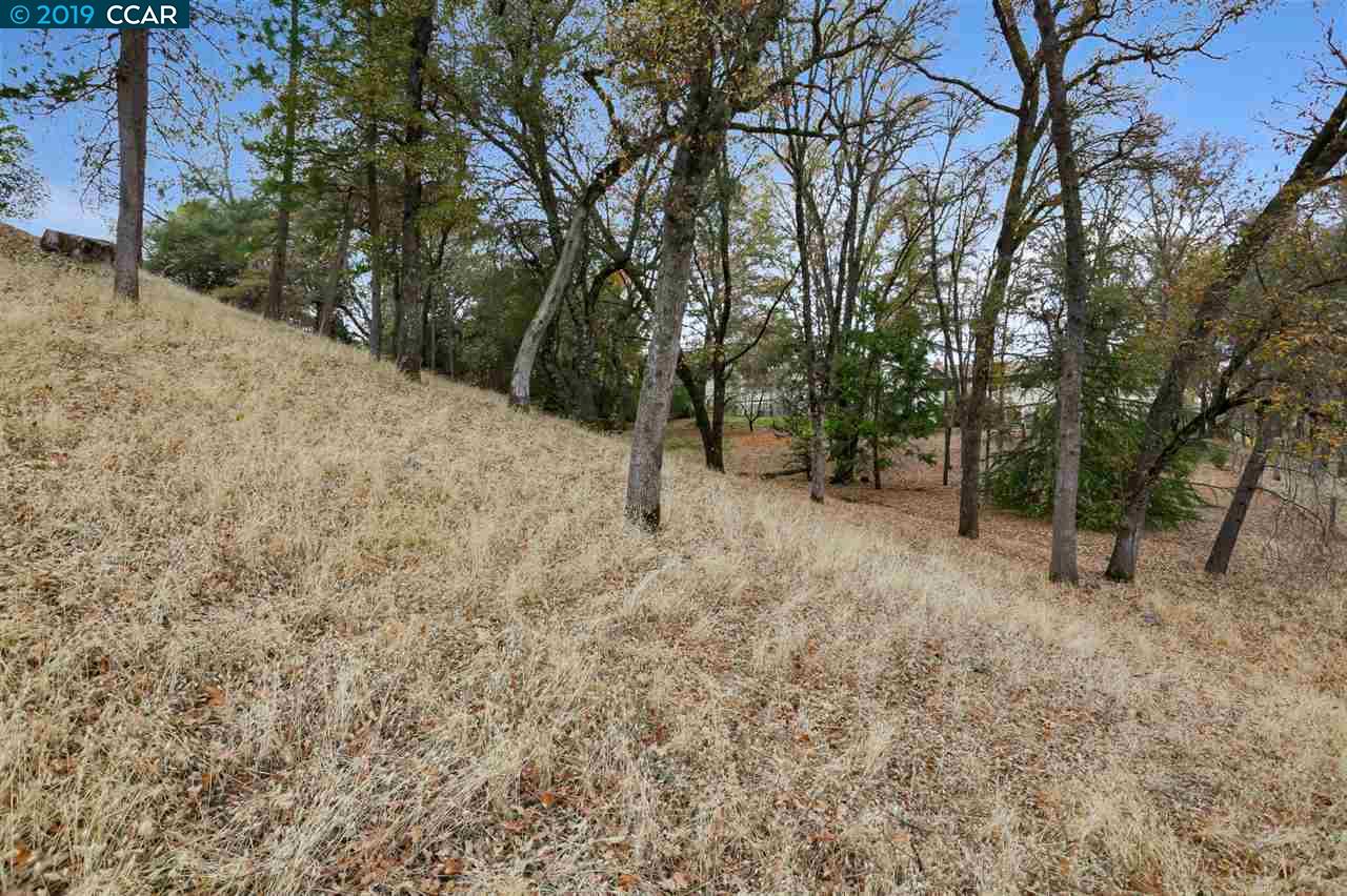 11753 Skylark Court, Auburn Unincorp, California 95602, ,Lots And Land,For Sale,Skylark Court,40905581