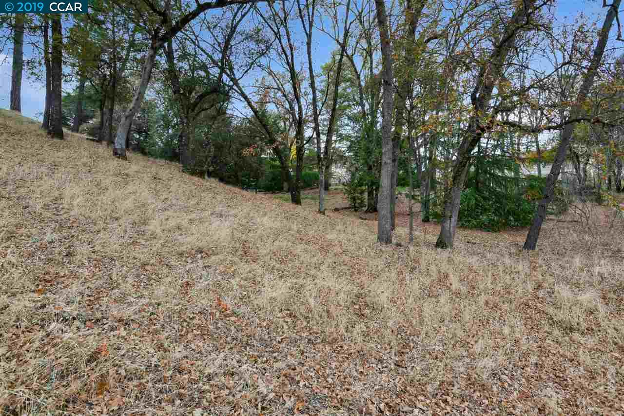 11753 Skylark Court, Auburn Unincorp, California 95602, ,Lots And Land,For Sale,Skylark Court,40905581