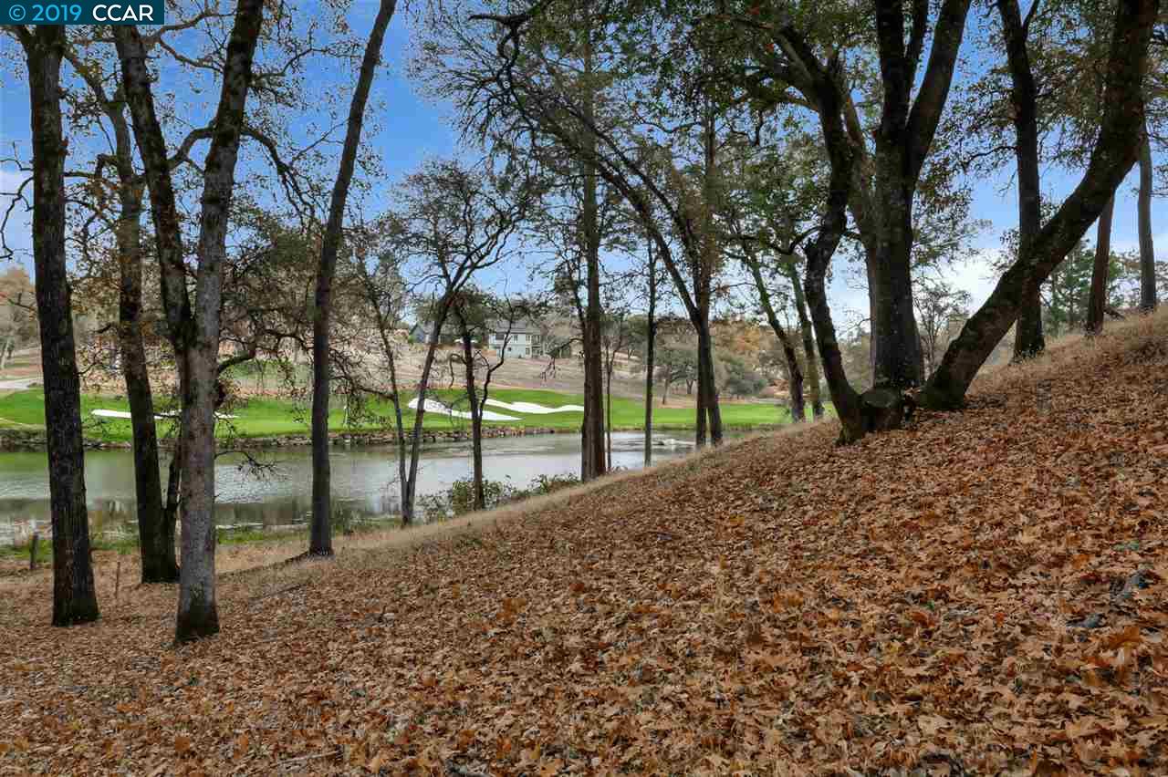 11753 Skylark Court, Auburn Unincorp, California 95602, ,Lots And Land,For Sale,Skylark Court,40905581