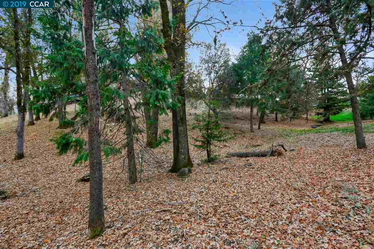 11753 Skylark Court, Auburn Unincorp, California 95602, ,Lots And Land,For Sale,Skylark Court,40905581