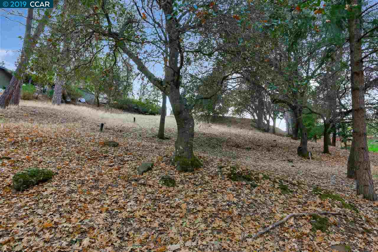 11753 Skylark Court, Auburn Unincorp, California 95602, ,Lots And Land,For Sale,Skylark Court,40905581