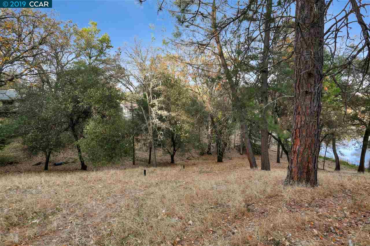 11753 Skylark Court, Auburn Unincorp, California 95602, ,Lots And Land,For Sale,Skylark Court,40905581