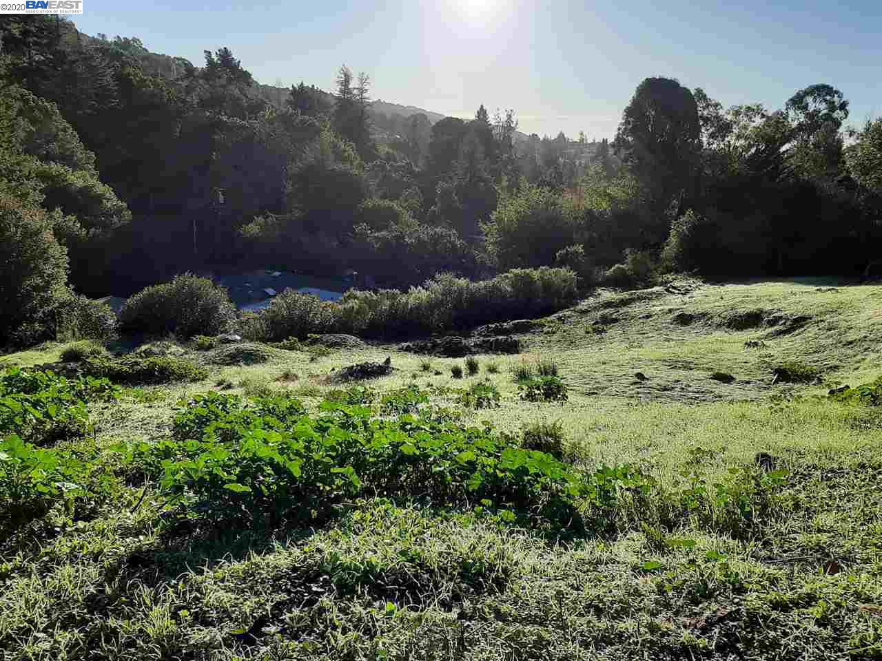 0 London Road, OAKLAND, California 94602, ,Lots And Land,For Sale,London Road,40909039
